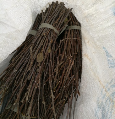 [其它批发]金蝉卵枝价格0.12元/斤 - 一亩田