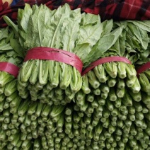 油麦菜