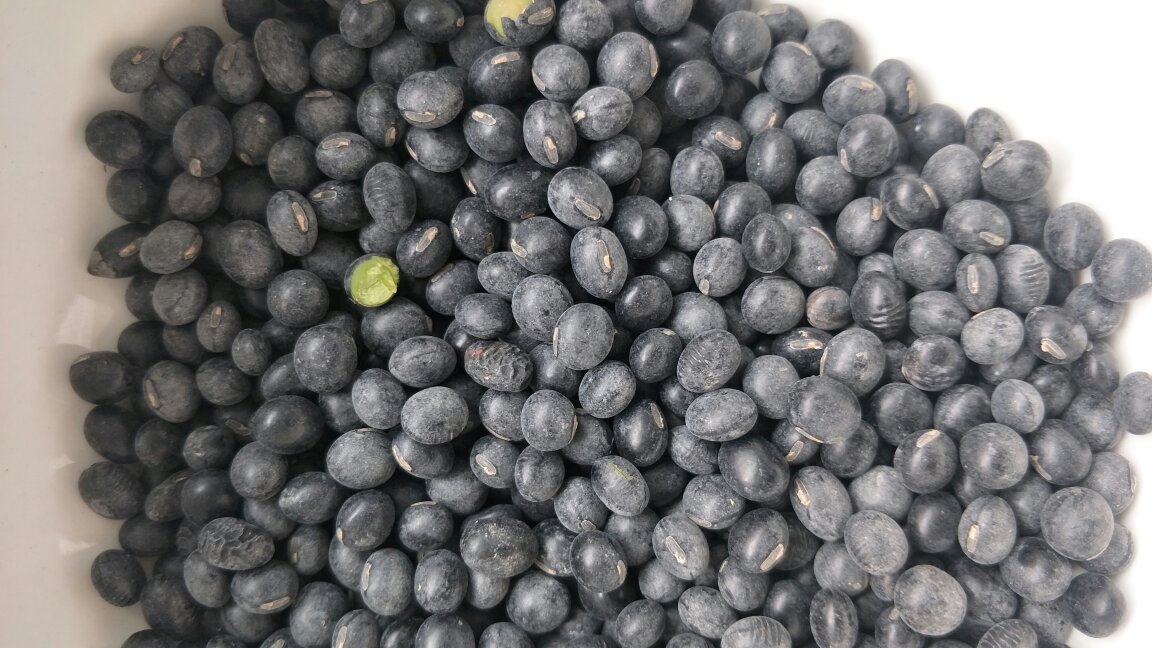 黑豆成品图