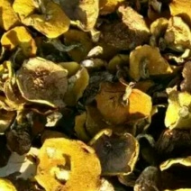纯野生松蘑，，质量好，色泽纯正，口味鲜美。