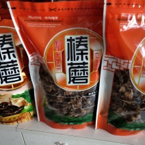 野生榛蘑