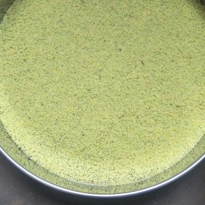 [豆丹批发]灌云豆丹 豆丹种苗 包回收 河南豆丹 豆虫价格0.