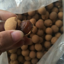 高州特级足干桂圆干新货现货