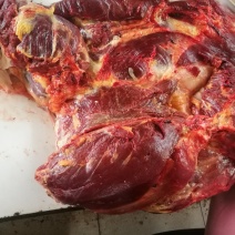 甘南草原驴肉旌德总代理