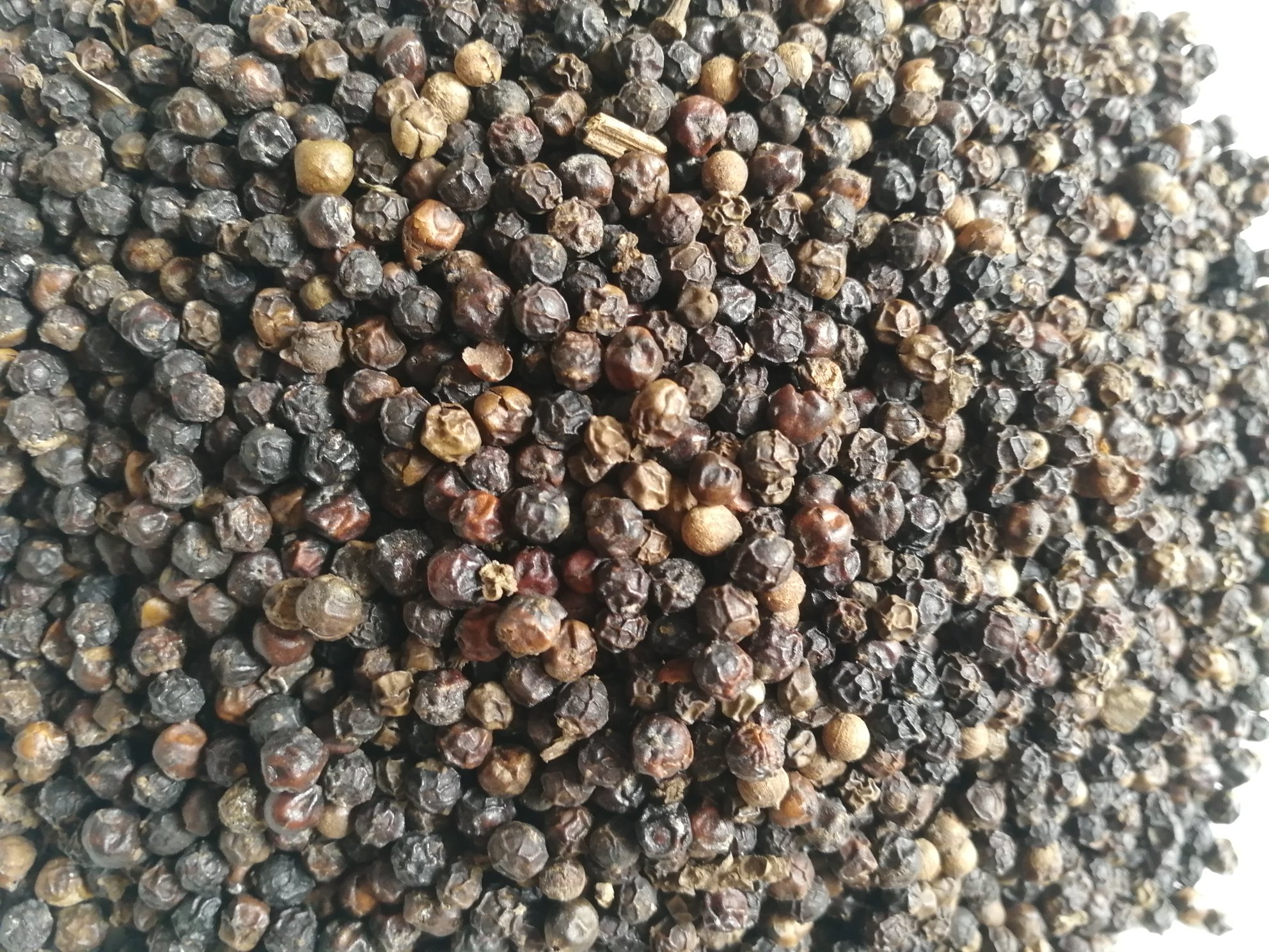 黑胡椒根切片与粉末
