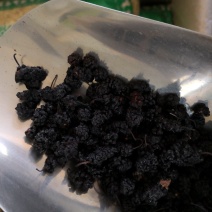 桑椹干中药材用河北干货2斤起包邮量大优惠