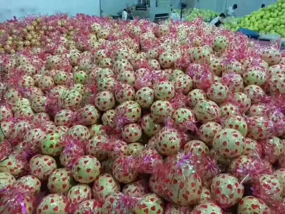 展示在高端水果店或超市中陈列整齐的琯溪红心蜜柚,包装精美,旁边有产品介绍标签和价格牌 琯溪红心蜜柚销售场景
