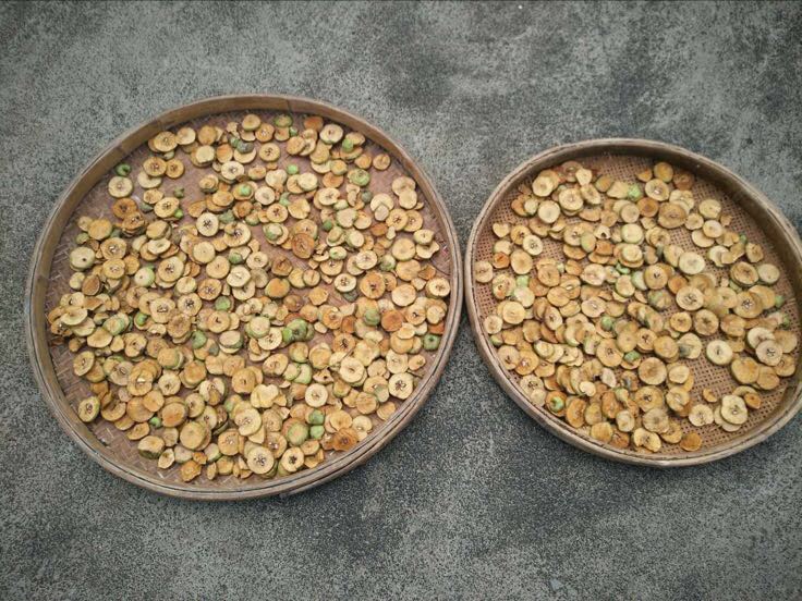 图中展示两种干燥农产品:左侧为黄褐色的栀子果实,右侧为深褐色的野菊花花朵,摆放于竹编容器中,背景为自然田园风格 栀子与野菊花干品对比图