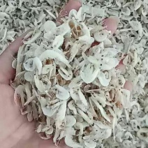 晒干虾皮