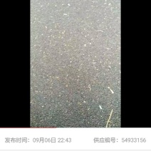 江汉平原优质油菜籽