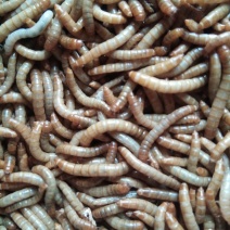 优