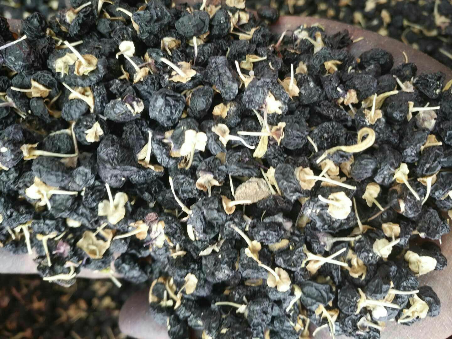 并列展示三组黑色小浆果:左侧为真品黑枸杞,深紫黑色,成串;中间为龙葵果实,光滑黑亮,单生或对生;右侧为冬珊瑚果实,呈橙红至暗红色,圆润饱满;背景为草地与土壤 野外黑色浆果对比图