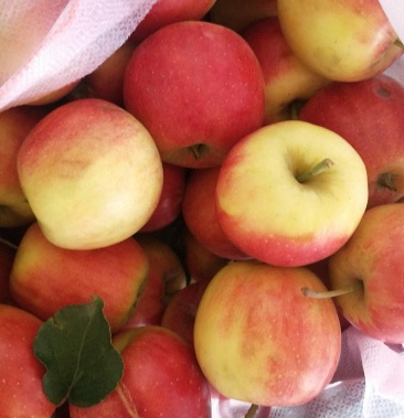 [海棠果批发]123果,金红果,沙果价格1.00元/斤 - 一亩田