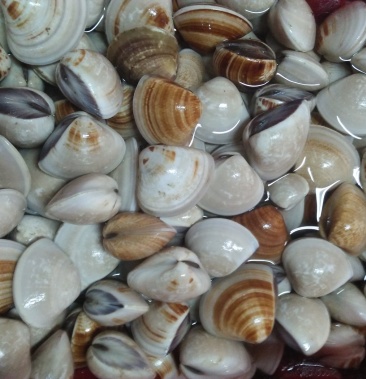 98元/斤 - 一亩田