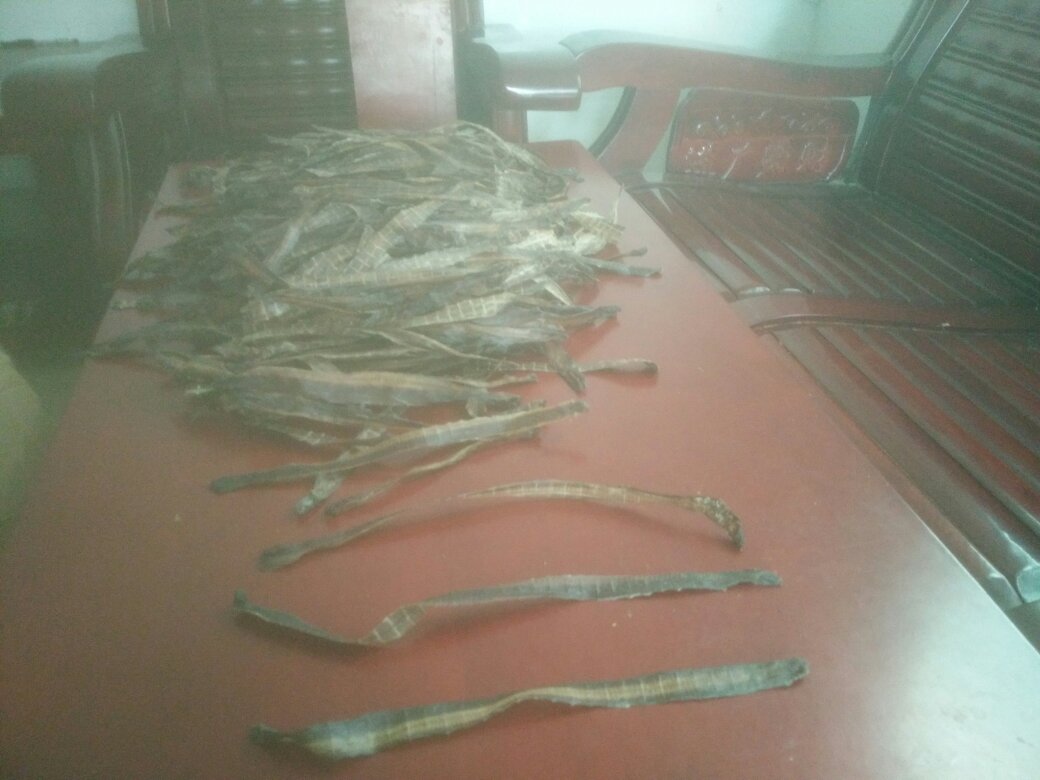 一瓶透明玻璃瓶装的棕黄色颗粒制剂,标签标注‘葛根地龙通络颗粒’,旁边摆放少量散装葛根切片与地龙干品,背景为中药提取车间环境示意,体现从原材料到成品的过程 葛根地龙复方颗粒成品展示图