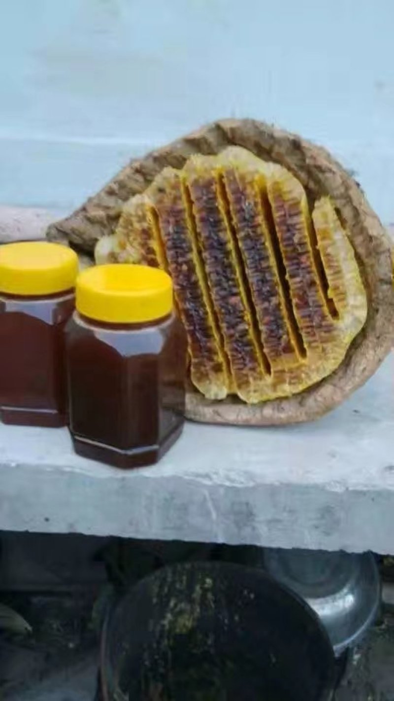 东北长白山山脉纯野山蜂蜜百花蜜中华土蜂百花蜜