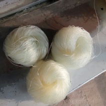 白圆圈粉丝