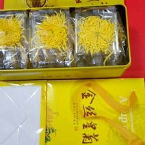 金丝皇菊