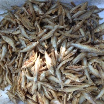 东江湖特色油炸叼子鱼