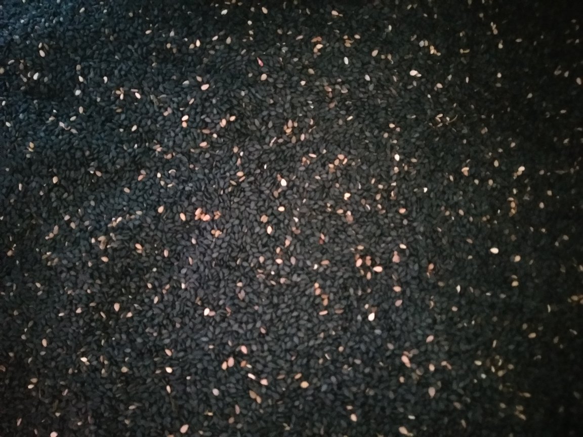 黑芝麻的特写照片