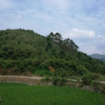 转租丘陵山地