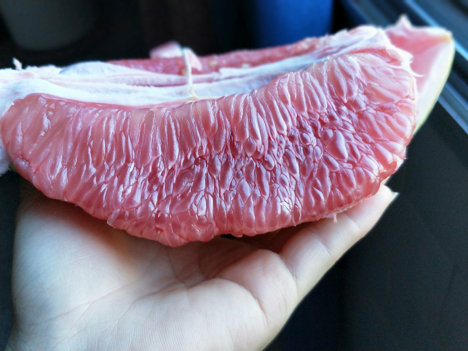 琯溪蜜柚果实剖面特写