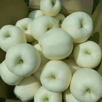 黄元帅（别称：白果）