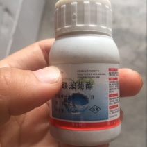 杀虫剂