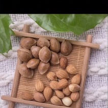 新疆杏仁