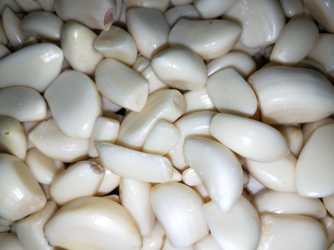 新鲜蒜米特写：瓷白瓷碗中盛放着晶莹湿润、颗粒分明的浅米白色蒜末，表面泛着细微水光，可见少量青翠蒜衣碎屑点缀其间，背景为原木砧板与不锈钢蒜臼，自然柔光下呈现真实食材质感