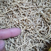 太子参干货，籽，秧苗