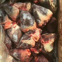 驴心