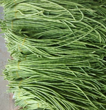 [豆角批发]江豆角,长豆角价格0.70元/斤 - 一亩田