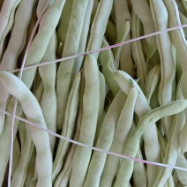 白豆角