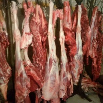 驴肉