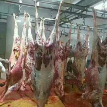 新到驴肉，保证好箱好货，无碎肉。