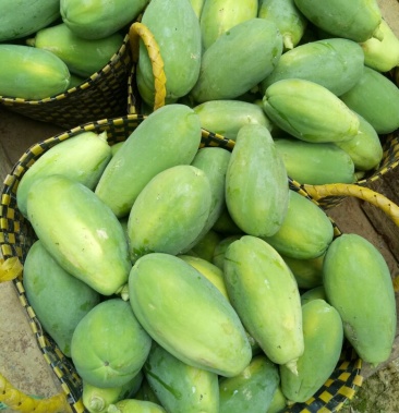 [大白木瓜批发]大白木瓜,价格1.30元/斤 - 一亩田