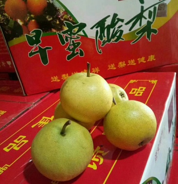 [酸梨批发]唐山市迁安特产.早密酸梨,酸酸甜甜,爽心爽口价格1.