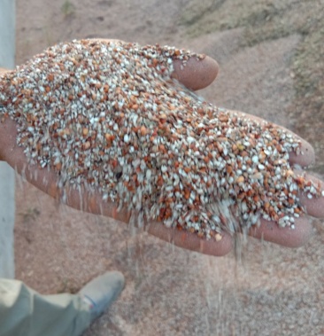 [高粱批发]碎高粱价格1450.00元/吨 - 一亩田