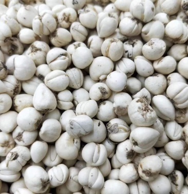 川贝母川贝松贝四川野生止咳化痰包邮50克一袋