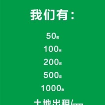 四川土地出租，适合种养循环