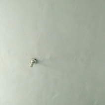 菜籽