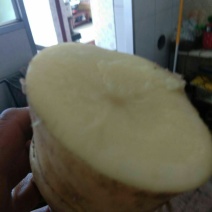 土豆(马玲薯)
