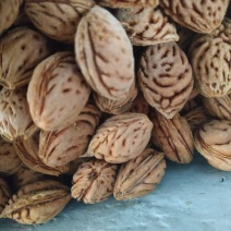 优质桃胡，不比价格看质量