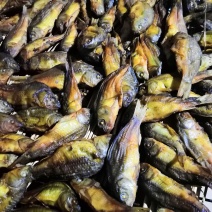 定购烟熏禾花鲤鱼腊鲤鱼活鱼熏制