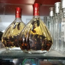 供应纯正土蜂蜜，土蜂酒，红娘蜂王，葫芦蜂王。长期支持技术