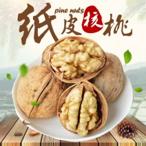 新疆185纸皮核桃大果包邮