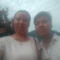 杂树锯末
