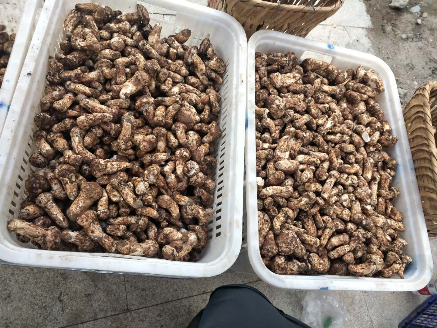 图中展示如何正确选购与储存胡椒和花椒的实物场景 胡椒与花椒选购与储存示意图