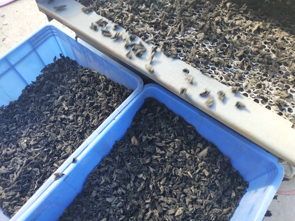 漳州白背毛木耳加工包装图